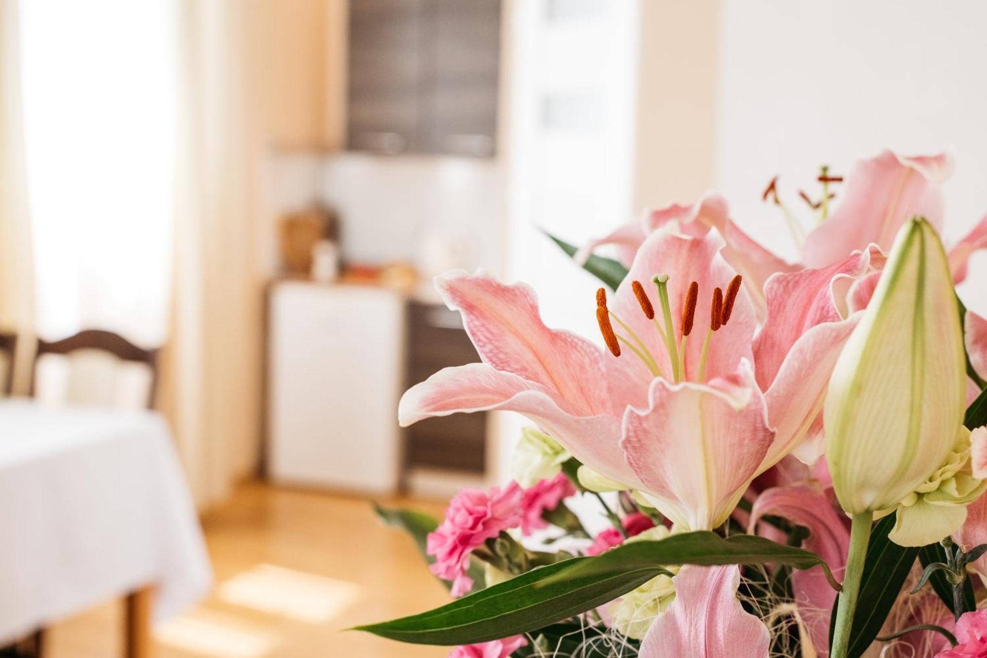 Apartamenty Baltyckie Władysławowo Dış mekan fotoğraf